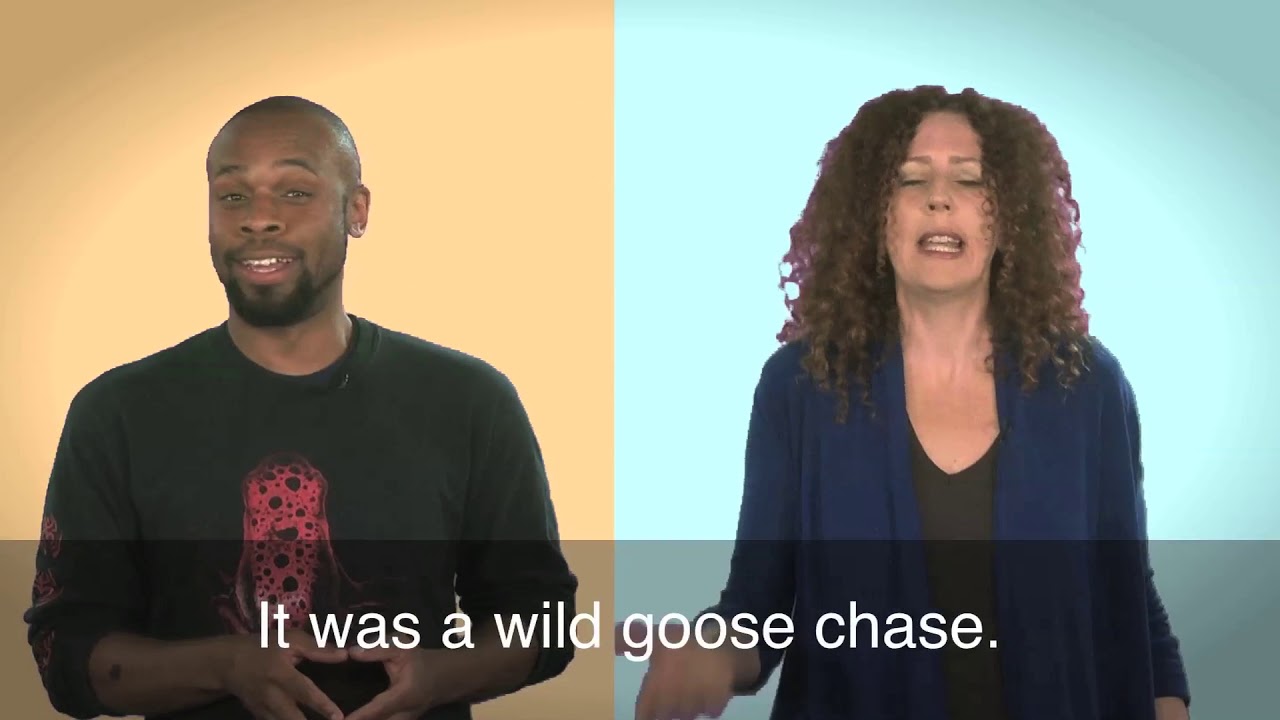 English in a Minute: Wild Goose Chase