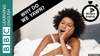 Why does seeing someone yawn make us yawn?