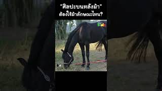 เคยเห็นไหม? "ศิลปะบนหลังม้า" #Shorts