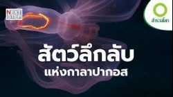 กาลาปากอส ดินแดนสัตว์มหัศจรรย์ | สารคดี สำรวจโลก