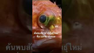#สำรวจโลก #doxzilla #สารคดี #เกาะกาลาปากอส #สารคดีสัตว์โลก