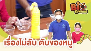 เรื่องไม่ลับ ตับของหมู | Bio O-YEAH!