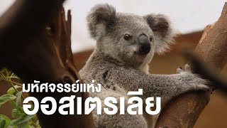 สารคดี สำรวจโลก ตอน มหัศจรรย์แห่งออสเตรเลีย - 2