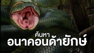 สารคดี สำรวจโลก ตอน ค้นหาอนาคอนด้ายักษ์