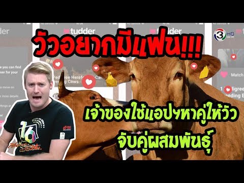 ใช่สเป็ค ไม่ใช่สเป็ค พ่อสื่อแม่สื่อ การจับคู่ ตัวจริงดูดีกว่ารูป ภ??