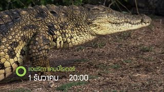 Highlight ช่อง 55 สำรวจโลก HD เดือนธันวาคม 2562 ทุกวัน อาทิตย์เวลา 2 ทุ่มตรง ที่ Good TV