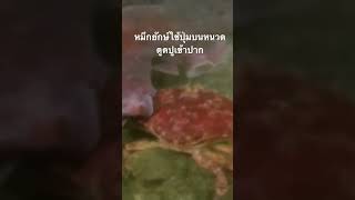 ดูสารคดีเต็ม กด Created from @nextstepwave #สำรวจโลก #doxzilla #สารคดี #สารคดีสัตว์โลก