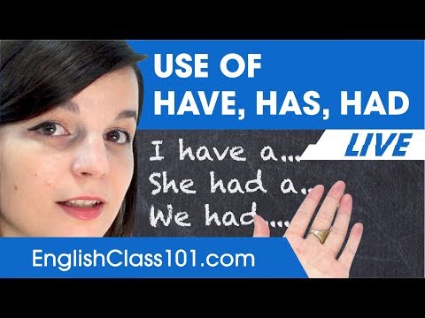 Have, Has, Had - English Grammar for Beginners