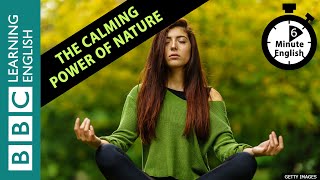 Have you ever had ecotherapy? Listen to 6 Minute English