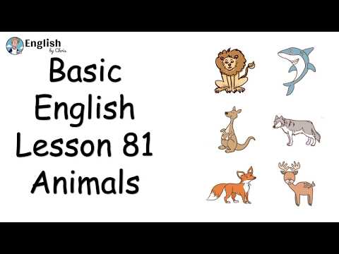 ผู้เริ่มต้น English - Lesson 81 - Animals
