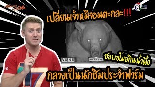 เปลี่ยนเจ้าหมีจอมตะกละ ชอบขโมยกินน้ำผึ้ง กลายเป็นนักชิมประจำฟาร์ม