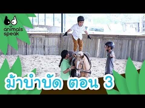 ม้าบำบัด ตอน 3 | Animals Speak [by Mahidol Kids]