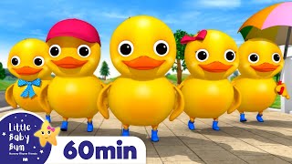 5 Little Ducks On A Bus! +More Nursery Rhymes and Kids Songs | Little Baby Bum