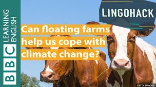Can floating farms help us cope with climate change? Watch Lingohack