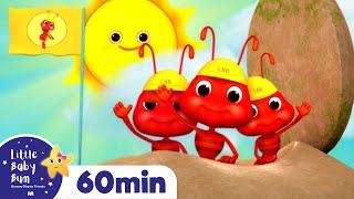 Ants Go Marching +More Nursery Rhymes and Kids Songs | Little Baby Bum