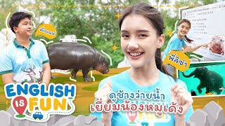 ไปหาหมูเด้ง | English is Fun