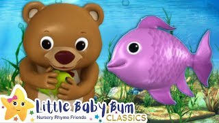 1 2 3 4 5 Once I Caught A Fish Alive Song + More Nursery Rhymes & Kids Songs - Little Baby Bum
