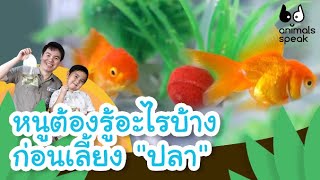 หนูต้องรู้อะไรบ้างก่อนเลี้ยง "ปลา"  | Animals Speak [Mahidol Kids]