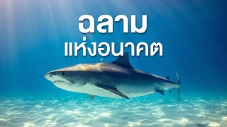 สารคดี สำรวจโลก ตอน ฉลามแห่งอนาคต