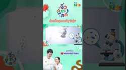 ส่องกล้องจุลทรรศน์ ดู “ไรฝุ่น” ?