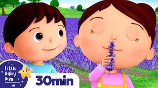 Lavender's Blue Dilly Dilly +More Nursery Rhymes and Kids Songs | Little Baby Bum