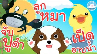 เพลงจับปูดำ เพลงลูกหมา เพลงเป็ดอาบน้ำ เพลงเด็กน้อยวัยอนุบาล @KidsOnCloud 