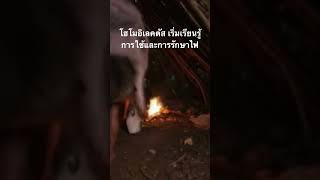 #สำรวจโลก #doxzilla #สารคดี #โฮโมอิเลคตัส