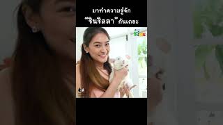 รู้จักกับ "ชินชิลลา" กันเถอะ #Shorts