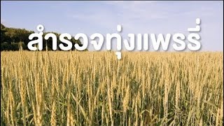 สารคดี สำรวจโลก ตอน สำรวจทุ่งแพรรี่ - 1