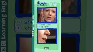 The long vowel /iː/ vs the short vowel /ɪ/ #shorts #english