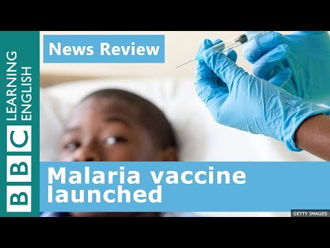Malaria vaccine launched - News Review