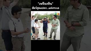 "เพรียงหิน" สัตว์สุดแปลก..แห่งทะเล #Shorts