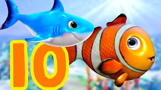 10 Little Fishes??| Little Baby Bum