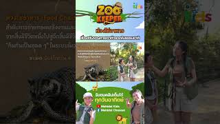 ห่วงโซ่อาหาร…เรื่องจริงของการเอาตัวรอดในธรรมชาติ !