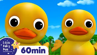 Duck Song! | +More Little Baby Bum Kids Songs and Nursery Rhymes