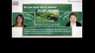 TALKUS: Container Gardening!