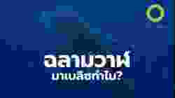 เบลิซ ซ่อนความลับอะไรของสัตว์ป่า ? | สารคดี สำรวจโลก