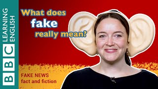 The meaning of ‘fake news’ – Episode 1