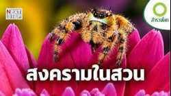 เมื่อสวนสวยไม่ใช่สวรรค์ แต่คือโลกแห่งการล่าและเอาชีวิตรอด | สารคดี สำรวจโลก ตอน สงครามในสวน