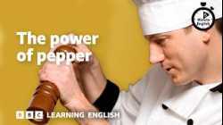 The power of pepper ⏲️ 6 Minute English