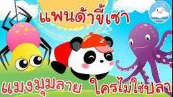 เพลงแมงมุมลาย เพลงแพนด้าขี้เซา เพลงใครไม่ใช่ปลา เพลงเด็กน้อยวัยอนุบาล @KidsOnCloud 