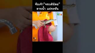จับเจ้า "จระเข้น้อย" อาบน้ำ แปรงฟัน #Shorts
