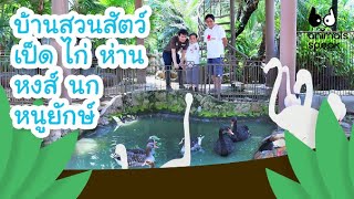 บ้านสวนสัตว์ เป็ด ไก่ ห่าน หงส์ นก หนูยักษ์ | Animals Speak [Mahidol Kids]