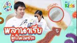 ? ส่องพลานาเรีย ผู้เป็นอมตะ ? | จิ๋วส่องโลก