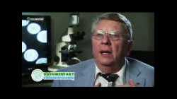 สารคดี ปริศนาอาถรรพณ์ ตอน ดาวหาง Blood Rain And Star Jelly