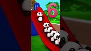 10 Pandas on a Slide?! ?? #pandas #animals #cute
