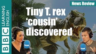 Tiny 'cousin' of T.rex discovered - News Review