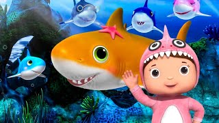 ? Baby Shark | Wheels On The Bus | ABCs & 123s | Nursery Rhymes & Songs Little Baby Bum