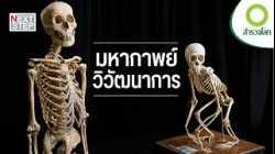ก่อนจะเป็นมนุษย์...เราผ่านอะไรมาบ้าง? | สารคดี สำรวจโลก ตอน มหากาพย์วิวัฒนาการ