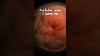 #สำรวจโลก #doxzilla #สารคดี #กำเนิดชีวิต #วิทยาศาสตร์